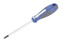 DESTORNILLADOR TORX INVIOLABLE